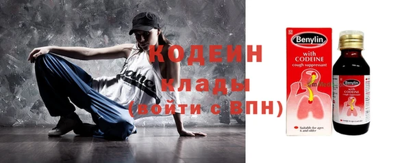 шишки Новозыбков