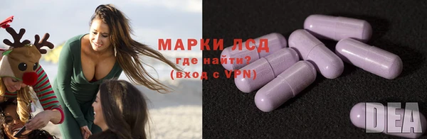 шишки Новозыбков