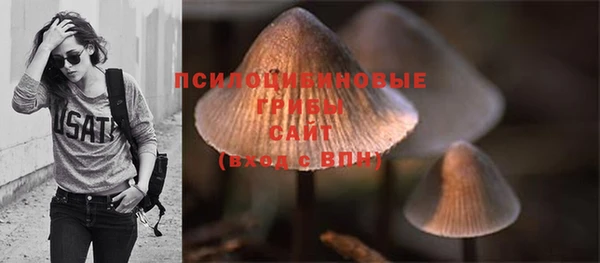 PSILOCYBIN Новодвинск