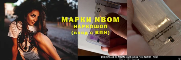 PSILOCYBIN Новодвинск
