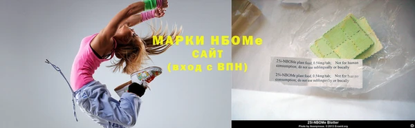 шишки Новозыбков
