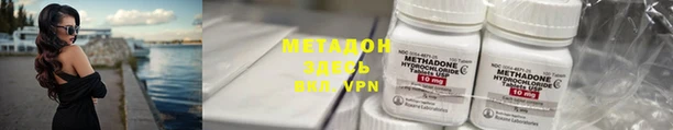 шишки Новозыбков