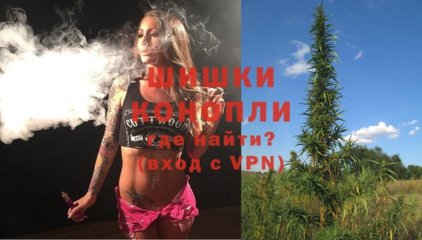 PSILOCYBIN Новодвинск