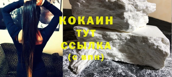 шишки Новозыбков